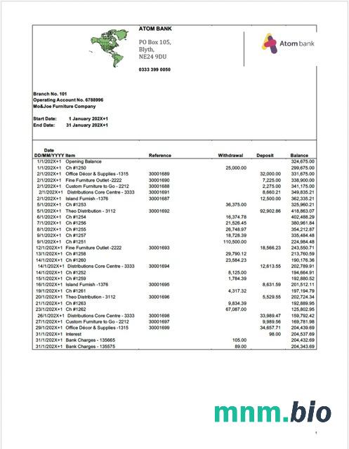 UAE Emirates NBD wyciąg z konta Word i szablon PDF, Wersja 2